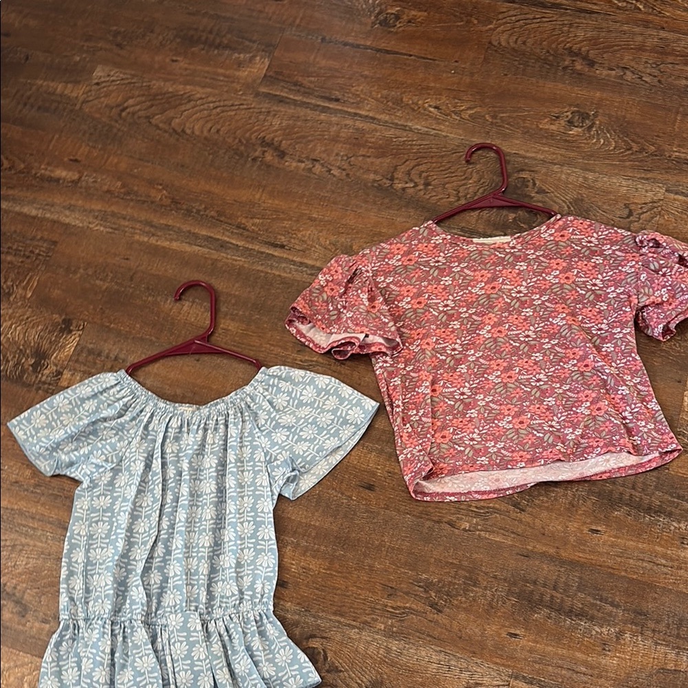 Pink and Blue Blouses with Puff Sleeves